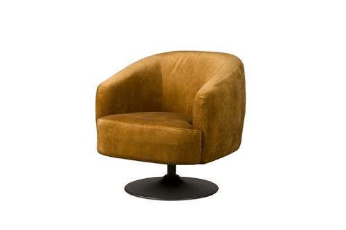 Barga fauteuil Goud - Hover